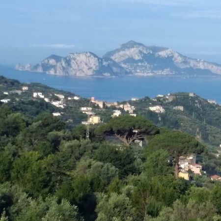 Appartement La Vista Sul Golfo à Massa Lubrense Extérieur photo