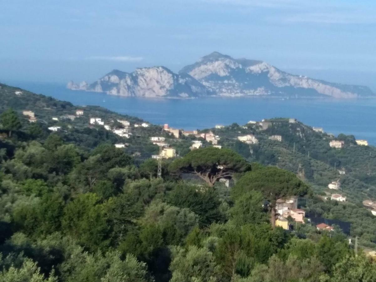 Appartement La Vista Sul Golfo à Massa Lubrense Extérieur photo