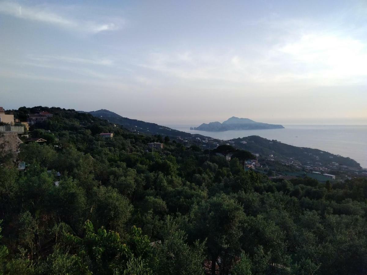 Appartement La Vista Sul Golfo à Massa Lubrense Extérieur photo